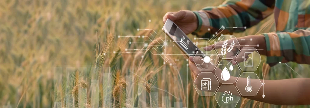 Revolutionising Farm Operations: How a Digital