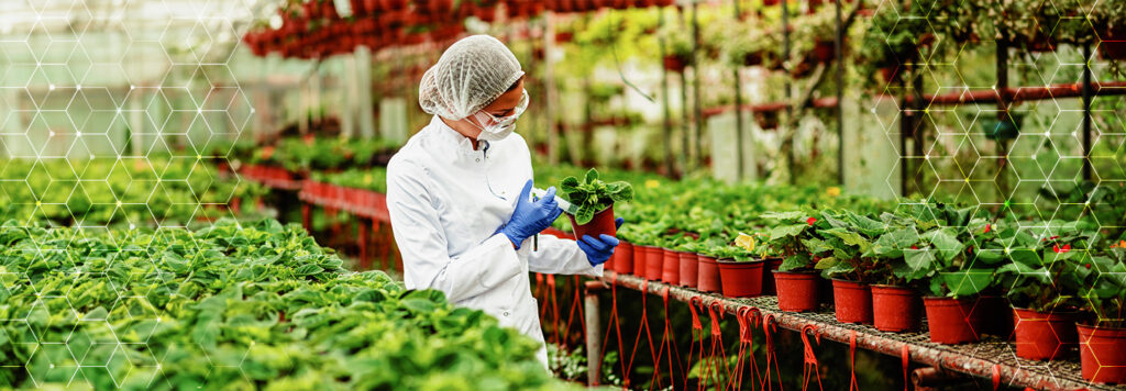 How a Plant Nursery Management System Can Streamline Inventory Control?