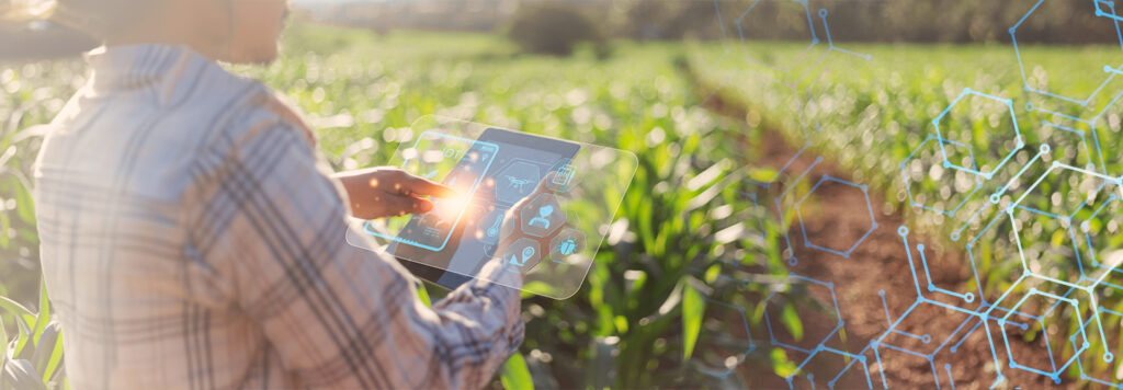 8 Reasons Why Farm Accounting Software is a Must-have for Agribusinesses