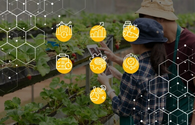 Digitalisation in Agriculture: