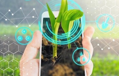 Most Promising Agritech Trends to Watch Out for in 2022