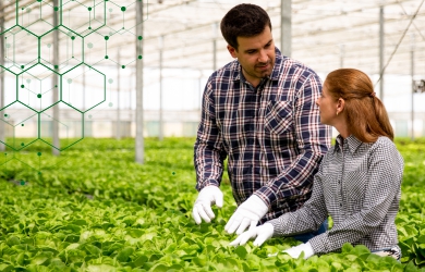 Advantages of Agriculture Consulting Services