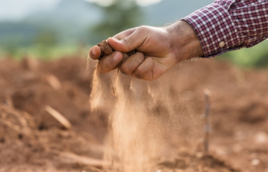 How IoT in Agriculture Helps Monitor and Maintain Soil Health