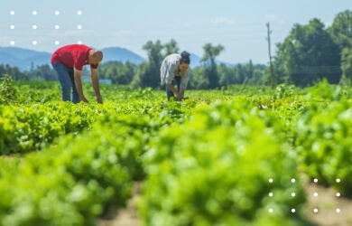 Make Farm Labour Management