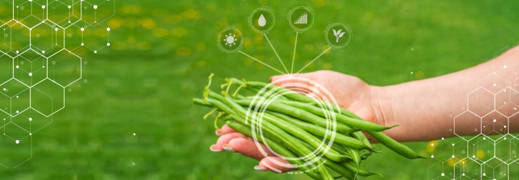 IoT in Agriculture: Bolstering Food Safety and Traceability Practices