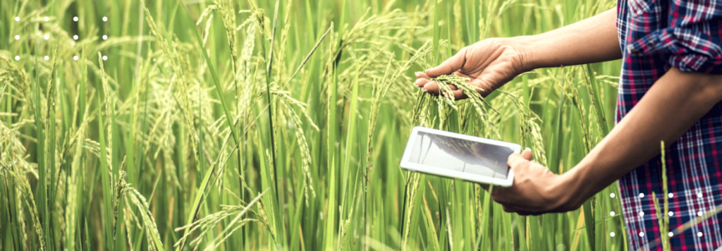 Agricultural Data Collection