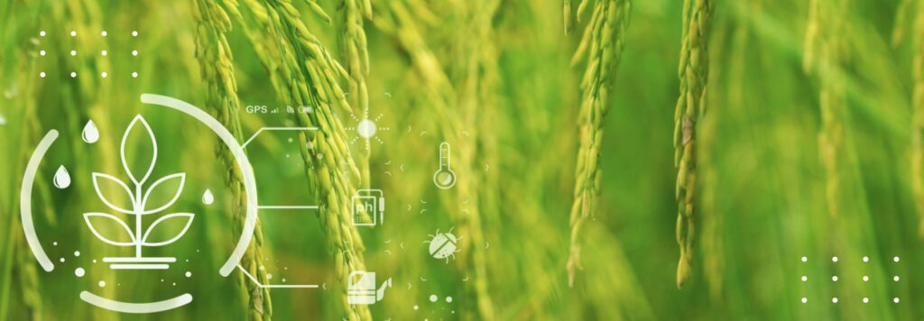 The Rise of Modern Farm Management as a Sustainability Solution