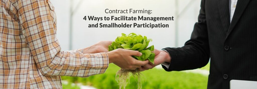 Contract Farming: 4 Ways to Facilitate Management and Smallholder Participation