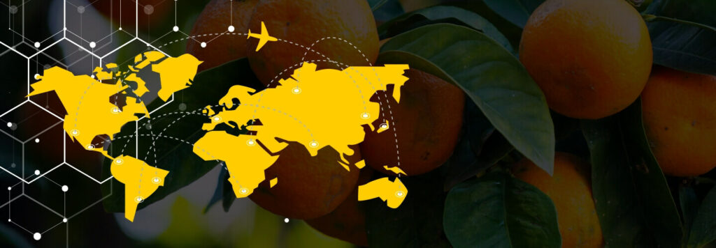 Digital Agriculture Management: The Next Frontier for Exporting Fresh Fruits & Vegetables