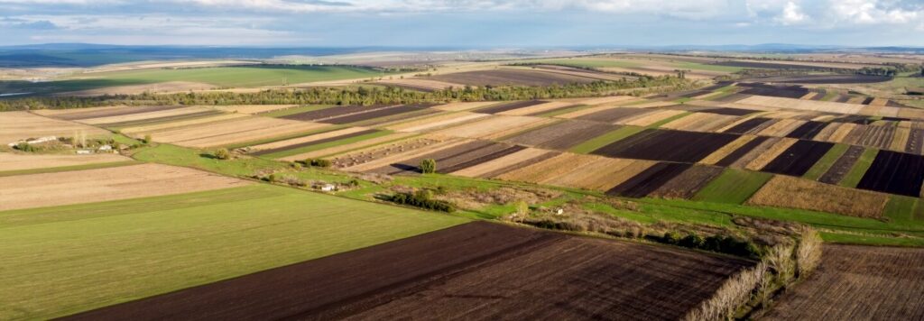 6 Ways How Agriculture Satellite Imagery Builds and Bolsters Food Security