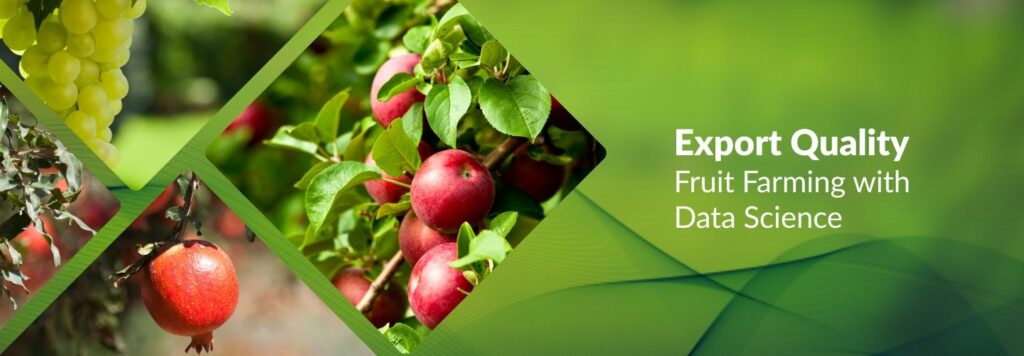 Export quality fruit farming with data science