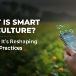 What Is Smart Agriculture? And How It’s Reshaping Farming Practices