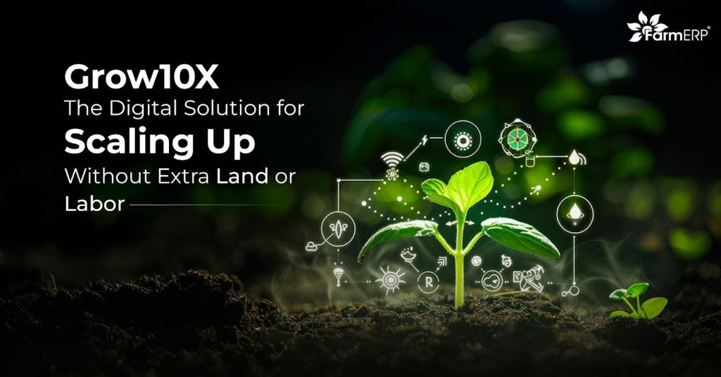 The Digital Solution for Scaling Up
