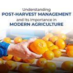 Post-Harvest Management