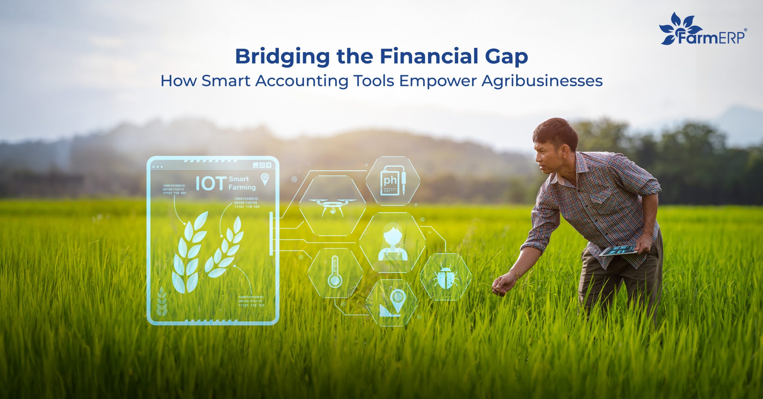 Smart Accounting Tools for Agribusiness: How to Choose the Right Software