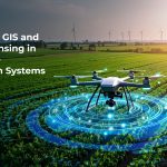 GIS and Remote Sensing in Agriculture Information Systems