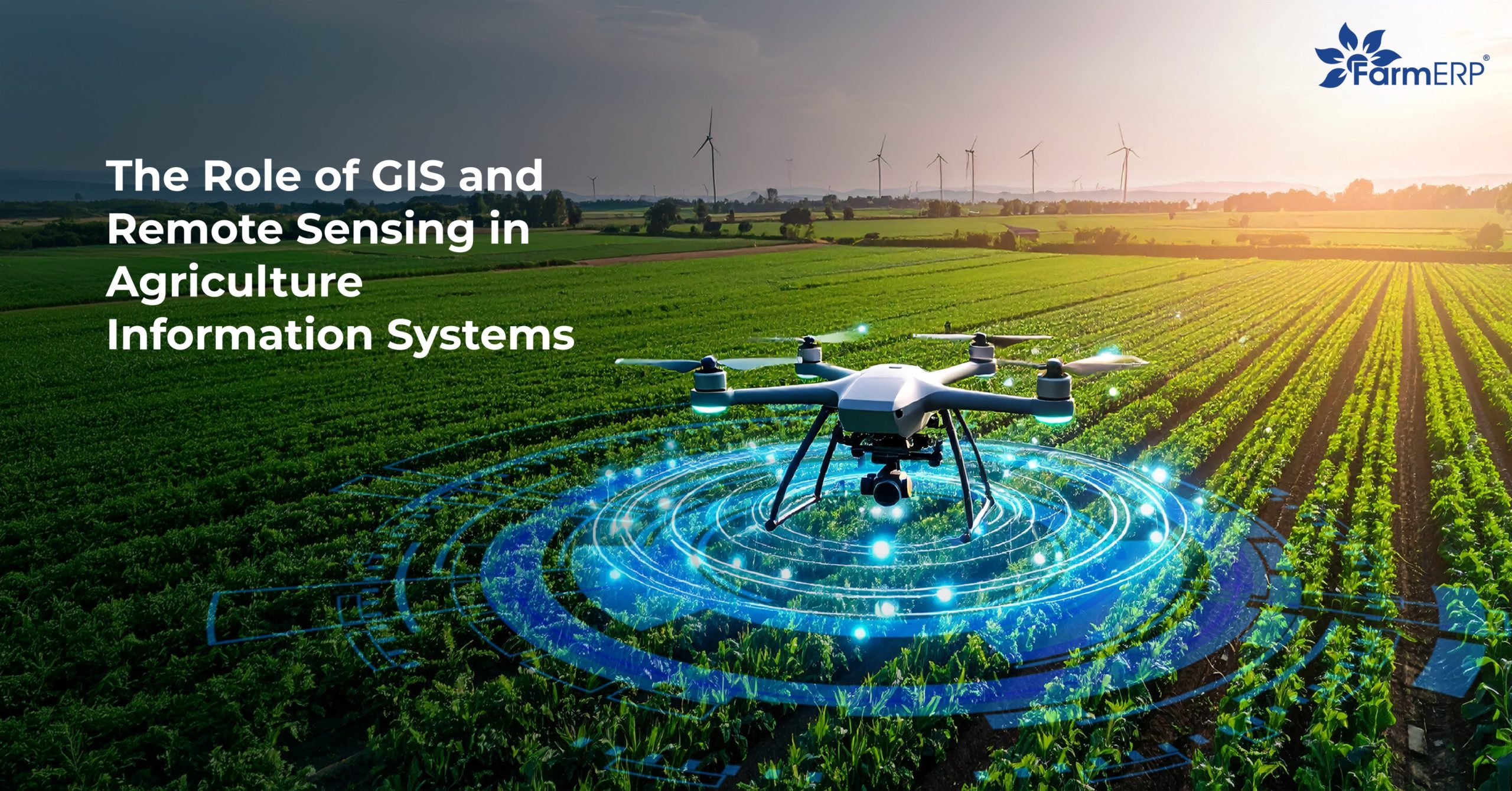 The Role of GIS and Remote Sensing in Agriculture Information Systems