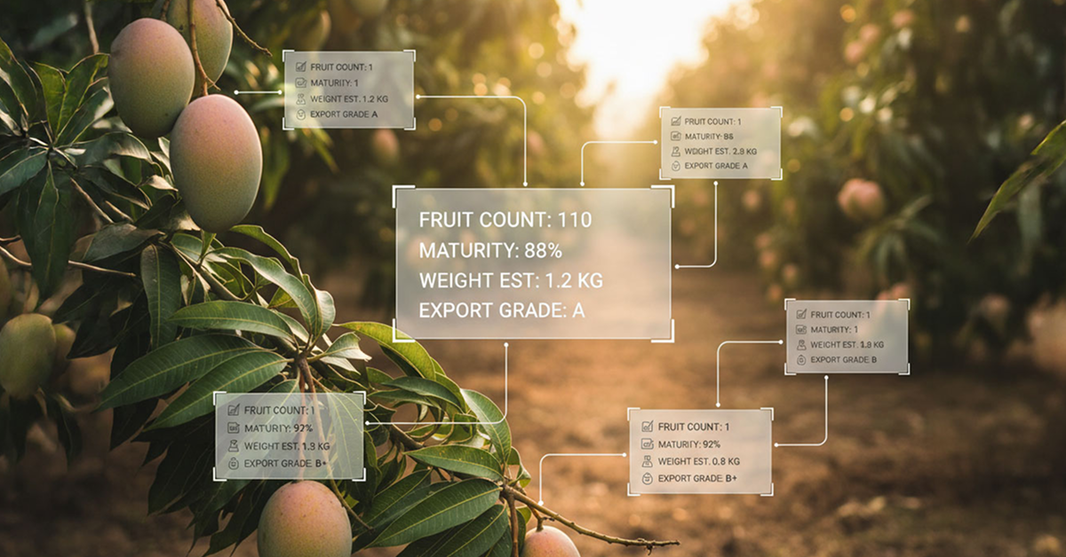 AI-Powered Crop Monitoring: How It Improves Yield & Sustainability